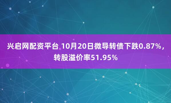兴启网配资平台 10月20日微导转债下跌0.87%，转股溢价率51.95%