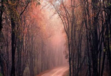 股票如何配杠杆:配资专业炒股投资-“反内卷”题材轮动 化工、建材等板块或迎结构性机会